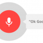 Google Voice Search