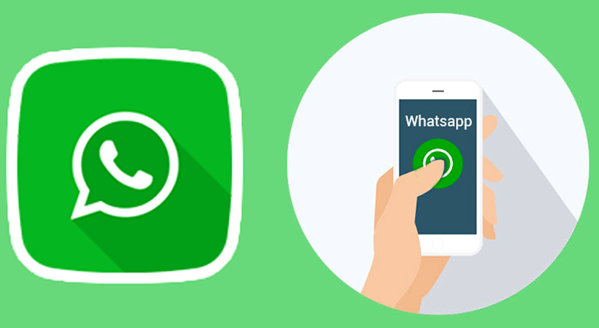 whatsapp status ranking features